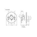 Rada V12 Concealed Thermostatic Shower Valve