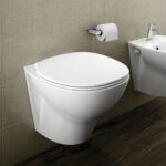 RAK Morning Rimless Wall Hung Pan