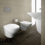 RAK Morning Rimless Wall Hung Pan