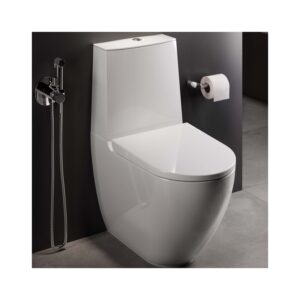 RAK Des Rimless Back To Wall Toilet with Push Button Cistern & Soft Close Seat