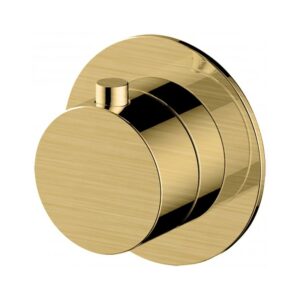 RAK Petit Round 2 Outlet Concealed Diverter Brushed Gold