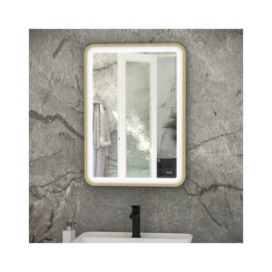 RAK Picture Soft LED Mirror with Demister 700x500mm Brushed Gold