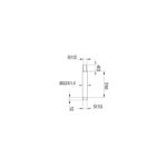 RAK 250mm Brass Ceiling Shower Arm Round Chrome