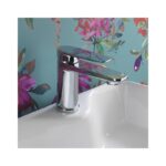 Sagittarius Baby Bari Mono Basin Mixer Tap Chrome
