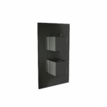 Scudo Black Dual Handle 1 Outlet Concealed Shower Valve