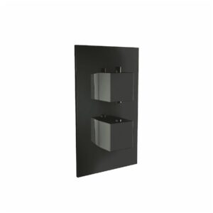 Scudo Black Dual Handle 1 Outlet Concealed Shower Valve