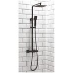 Scudo Lunar Black Square Shower with Rigid Riser
