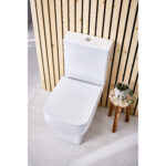 Scudo Choices & Middleton Cistern with Fittings