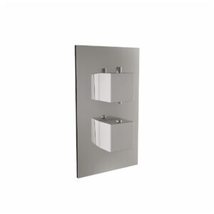 Scudo Twin Square Handle 1 Outlet Concealed Shower Valve
