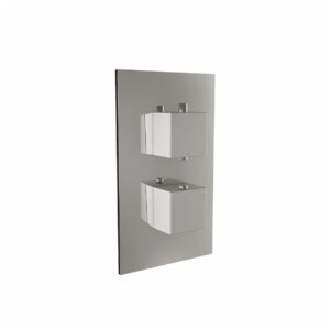Scudo Twin Square Handle 2 Outlet Concealed Shower Valve with Diverter