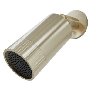 Scudo Core Spotlight Shower Head Brushed Brass