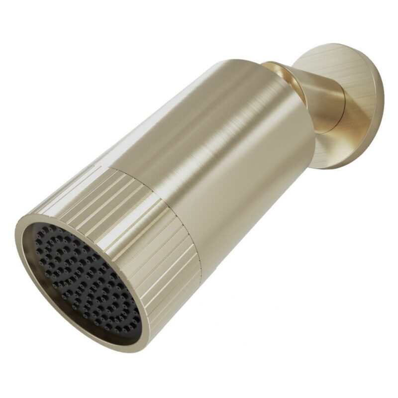 Scudo Core Spotlight Shower Head Brushed Brass