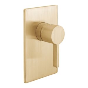 Vado Edit Brushed Gold 1 Outlet Concealed Manual Shower Valve