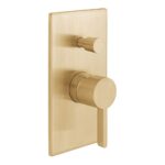 Vado Edit Brushed Gold 2 Outlet Concealed Single Lever Shower Valve