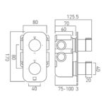 Vado Tablet Altitude Brushed Black Vertical Concealed 2 Outlet, 2 Handle All-Flow Valve