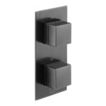 Vado Tablet Notion Brushed Black Vertical 2 Outlet, 2 Handle All-Flow Shower Valve