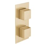 Vado Tablet Notion Brushed Gold Vertical 2 Outlet, 2 Handle All-Flow Shower Valve