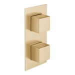 Vado Tablet Notion Brushed Gold Vertical Concealed 1 Outlet, 2 Handle Valve