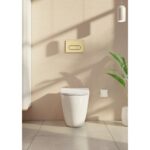 Vitra Loop Round Flush Plate Brushed Gold